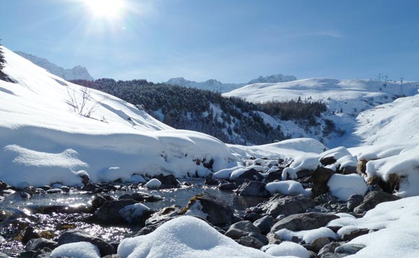 Plessur (Foto: Andreas Pfister) Plessur (Foto: Andreas Pfister)